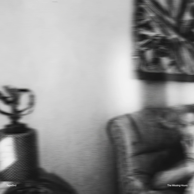 The Missing Hours — restored cassette tape by TapeBird: Hours that slipped between the cracks of ordinary days — vanished afternoons, unaccounted evenings, and gaps in the timeline filled only by tape hiss and a clock that kept going alone.